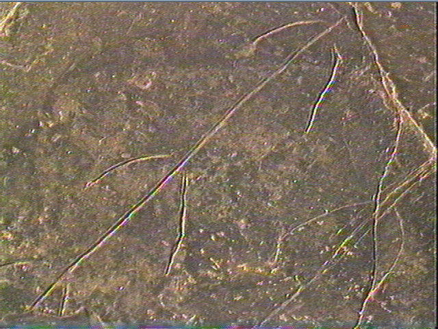 Plaquette (fragment)_5