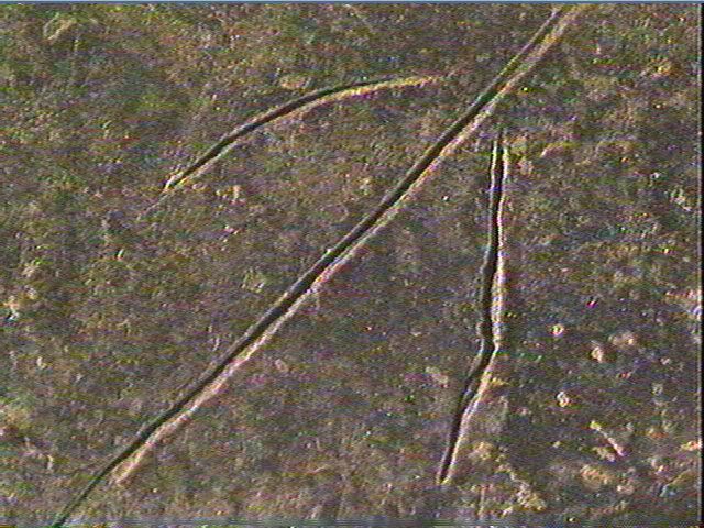 Plaquette (fragment)_6