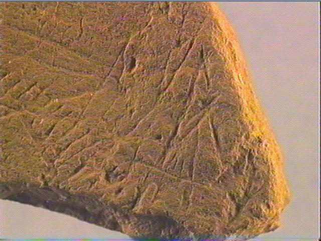 Plaquette (fragment)_5