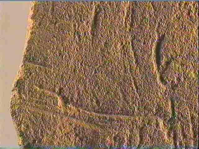 Plaquette (fragment)_5