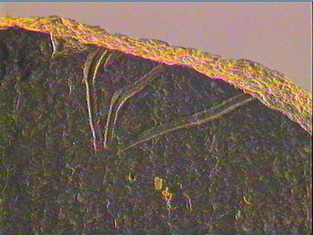 Plaquette (fragment)_3