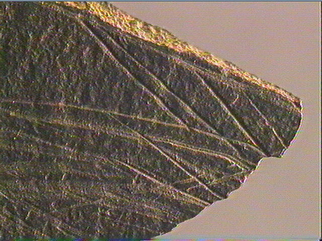 Plaquette (fragment)_6