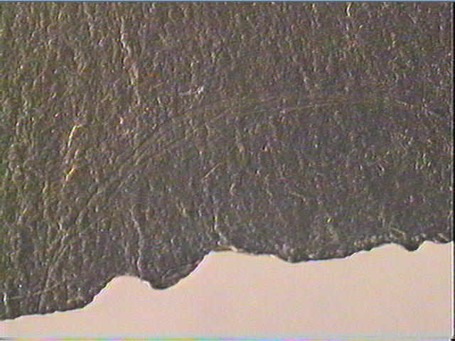 Plaquette (fragment)_4