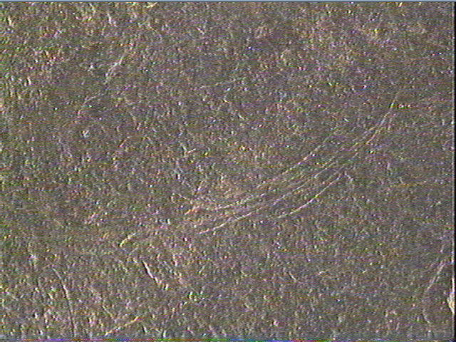 Plaquette (fragment)_6