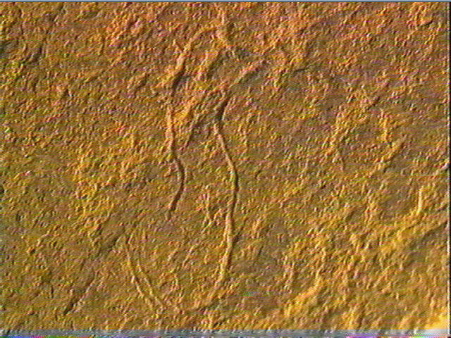 Plaquette (fragment)_3