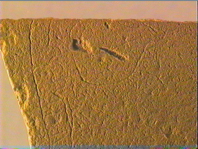 Plaquette (fragment)_5