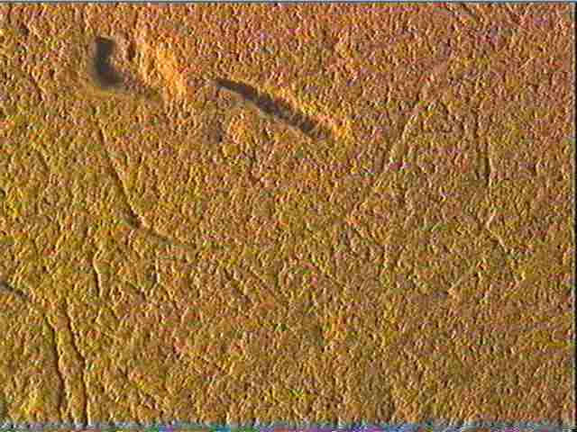Plaquette (fragment)_6
