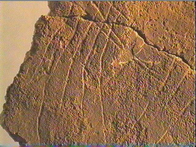 Plaquette (fragment)_4
