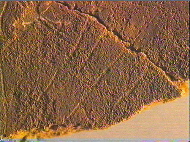 Plaquette (fragment)_5