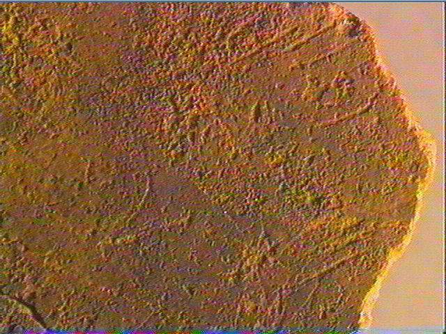 Plaquette (fragment)_6