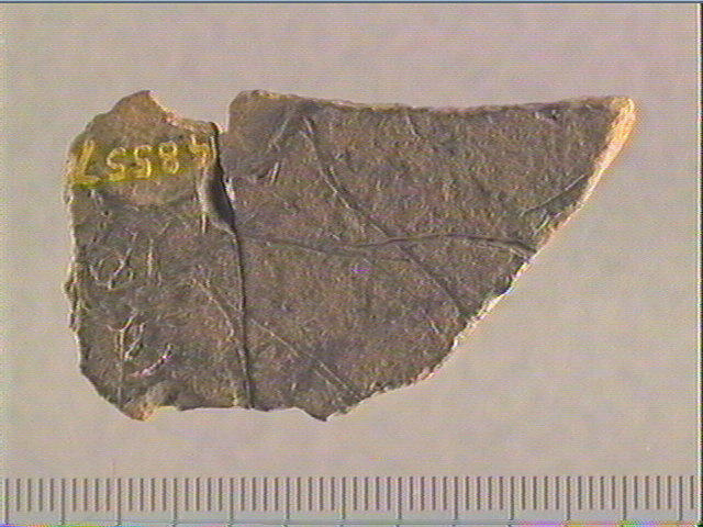 Plaquette (fragment, 2)_0