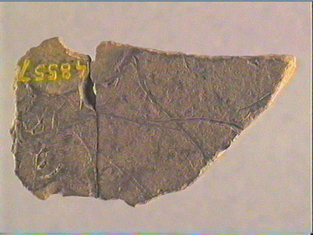 Plaquette (fragment, 2)_2