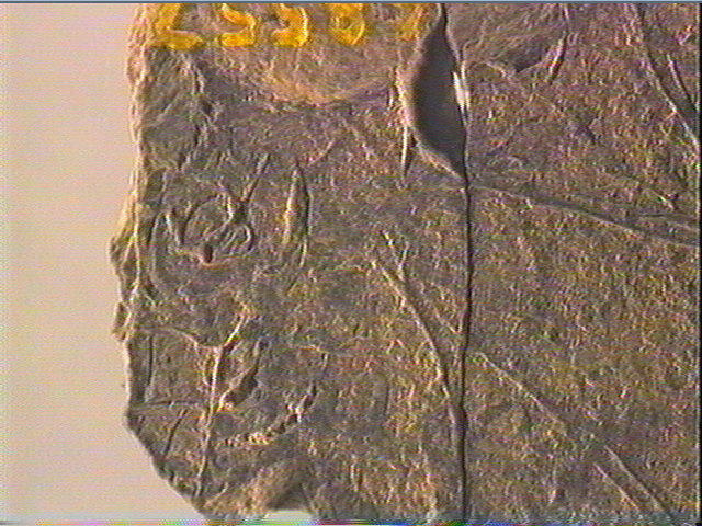 Plaquette (fragment, 2)_4