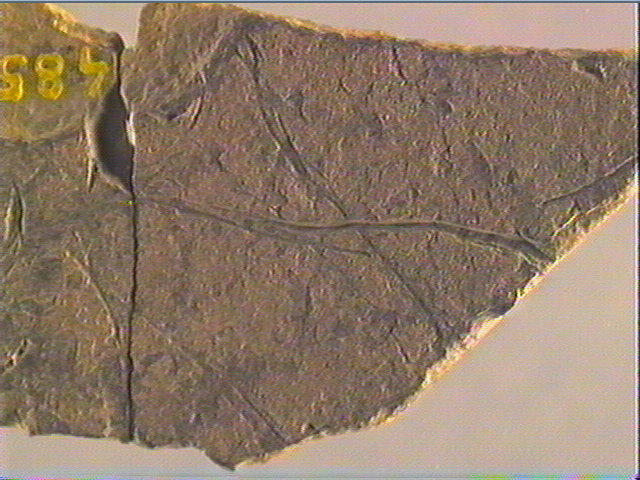 Plaquette (fragment, 2)_6