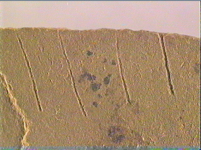Plaquette (fragment)_3