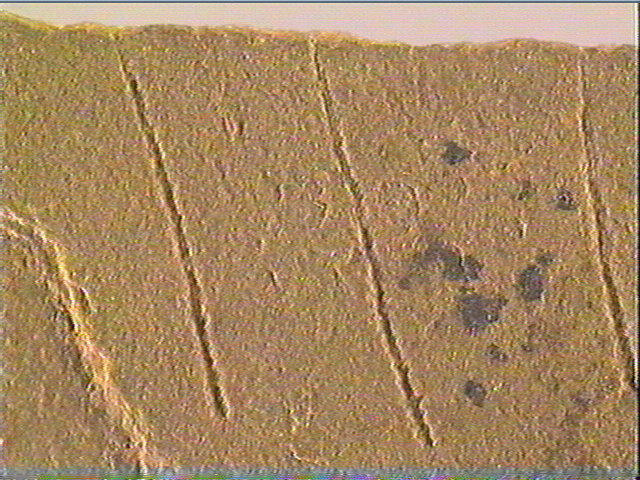 Plaquette (fragment)_4