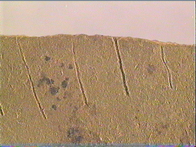 Plaquette (fragment)_5