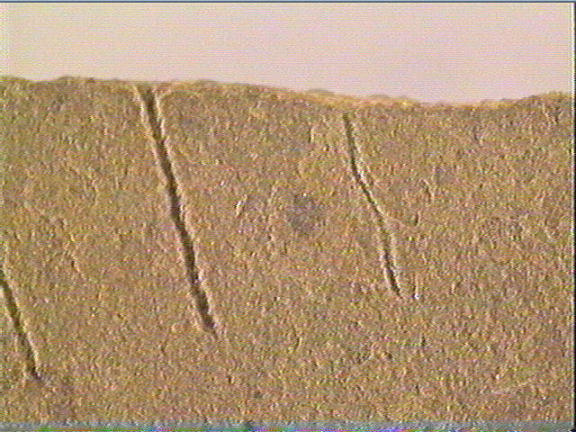 Plaquette (fragment)_6