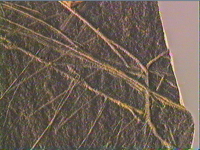 Plaquette (fragment)_5