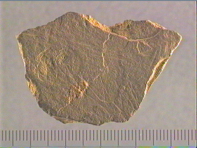 Plaquette (fragment)_0