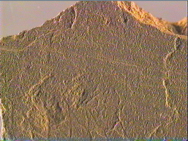 Plaquette (fragment)_2