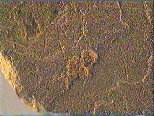 Plaquette (fragment)_3