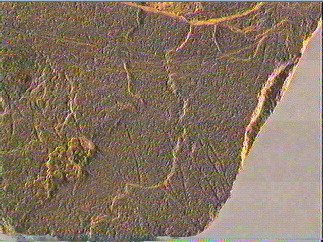 Plaquette (fragment)_4