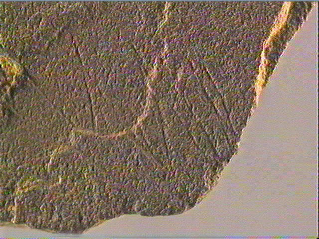 Plaquette (fragment)_5