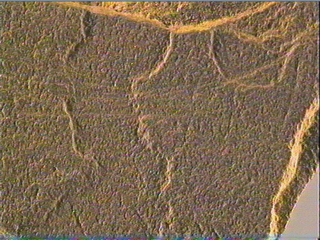 Plaquette (fragment)_6