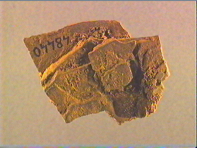 Plaquette (fragment)_1