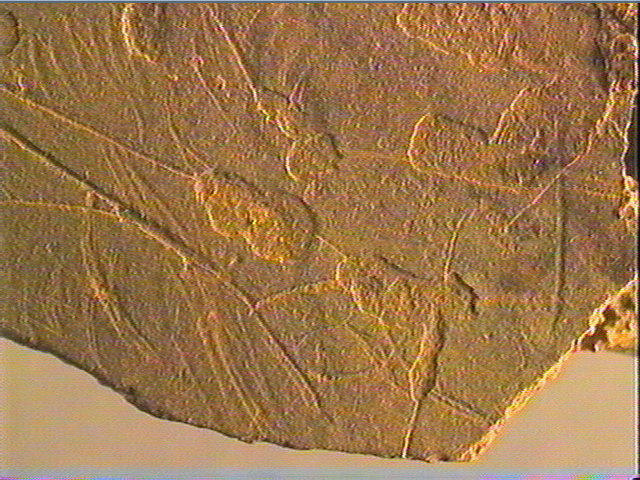 Plaquette (fragment)_3