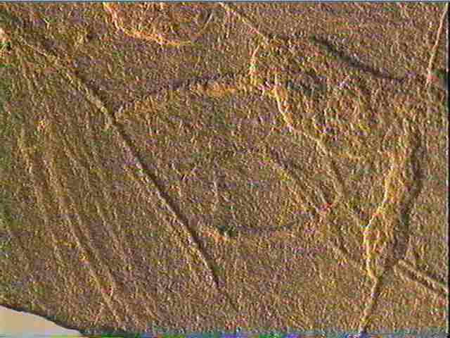 Plaquette (fragment)_4