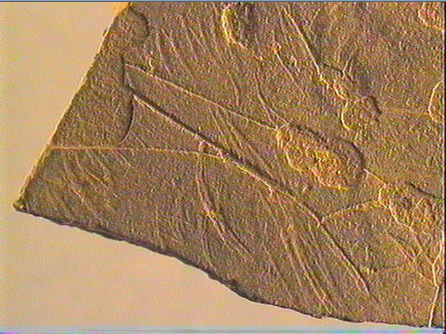 Plaquette (fragment)_5