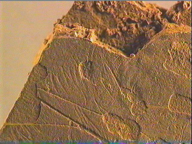 Plaquette (fragment)_6