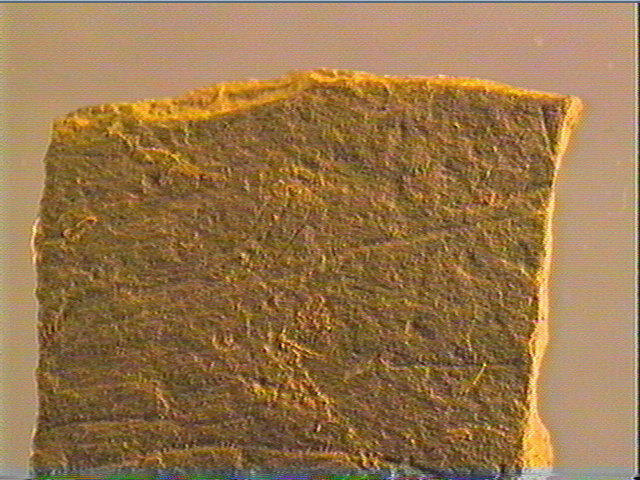 Plaquette (fragment)_4