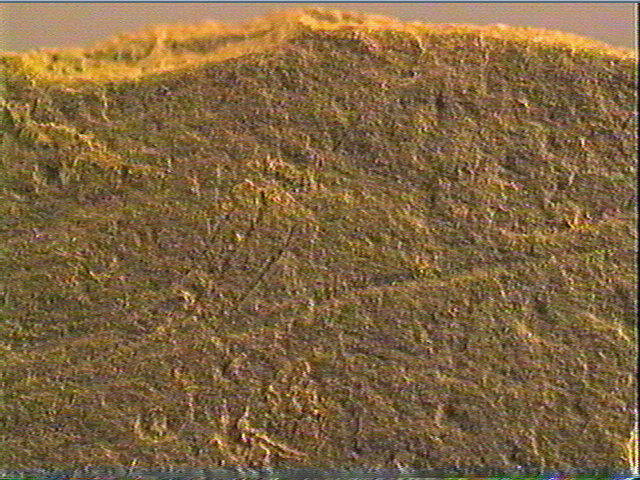 Plaquette (fragment)_5