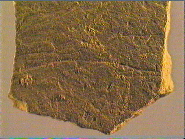 Plaquette (fragment)_6