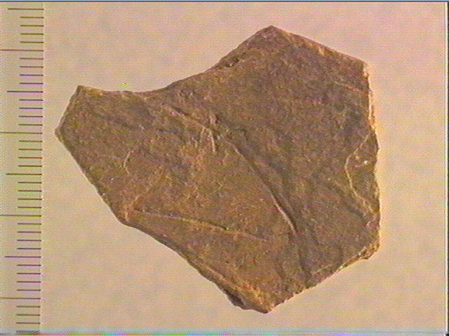 Plaquette (fragment)_0
