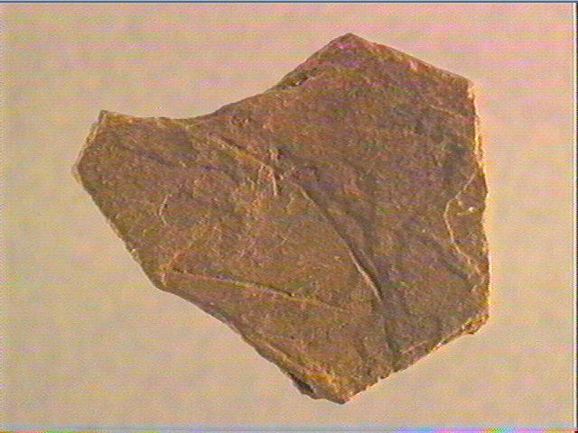 Plaquette (fragment)_1