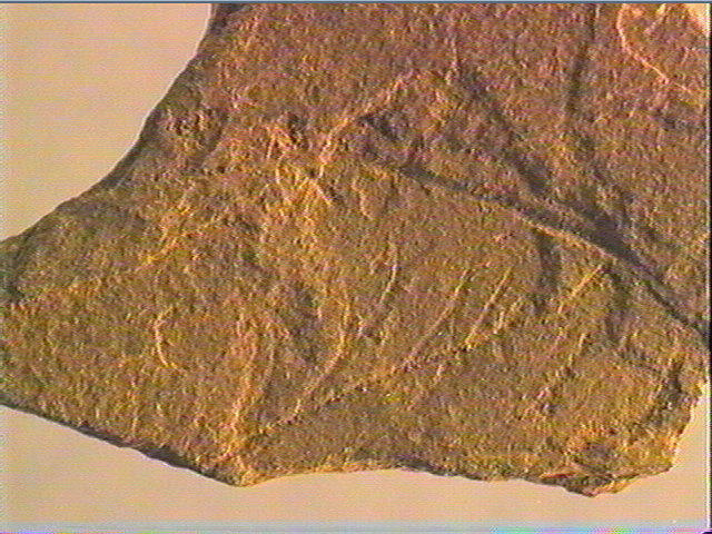 Plaquette (fragment)_3