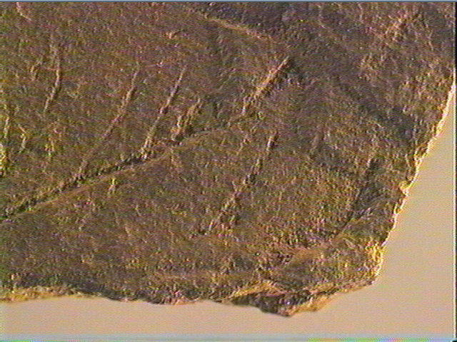 Plaquette (fragment)_5