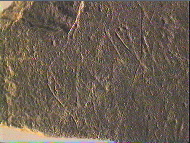 Plaquette (fragment)_3