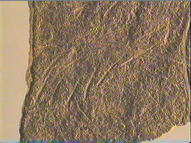 Plaquette (fragment)_2