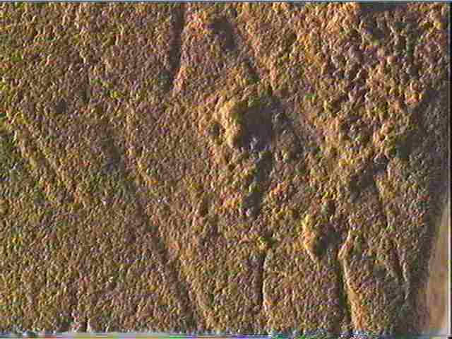 Plaquette (fragment)_5