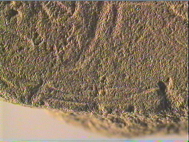 Plaquette (fragment)_6