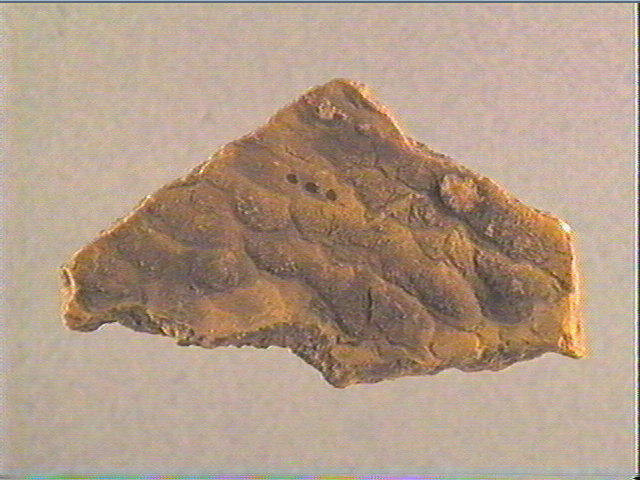 Plaquette (fragment)_1