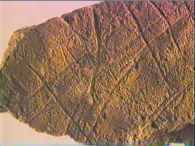 Plaquette (fragment)_4