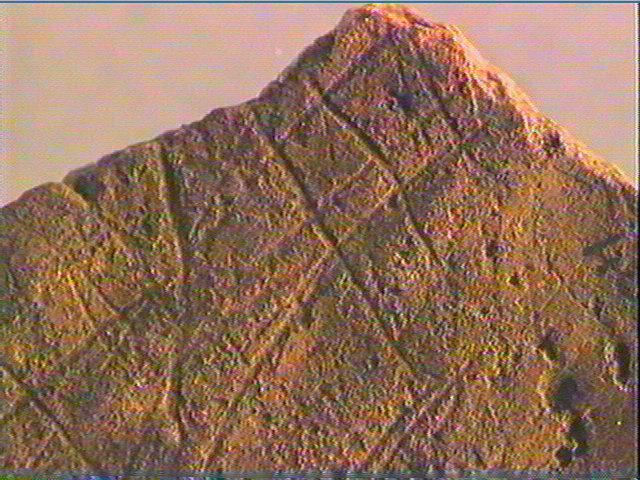 Plaquette (fragment)_5