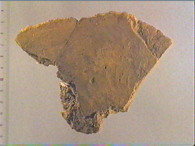 Plaquette (fragment)_0