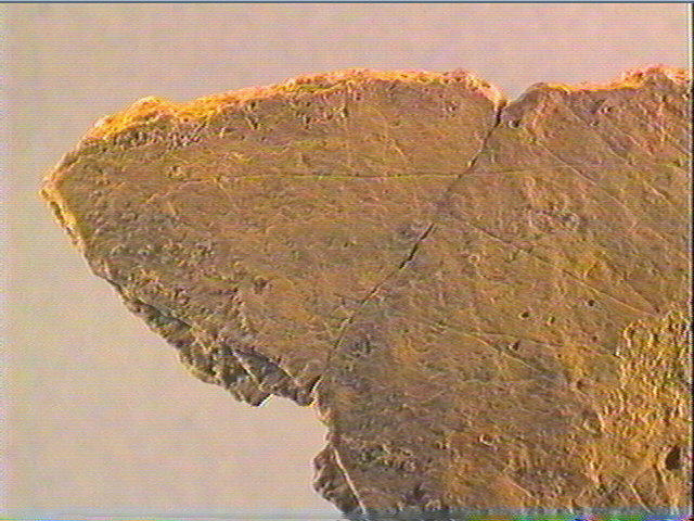 Plaquette (fragment)_3